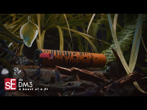 Įkelti vaizdo įrašą: