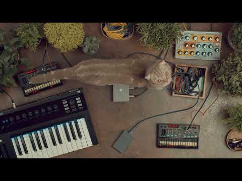 Įkelti vaizdo įrašą: