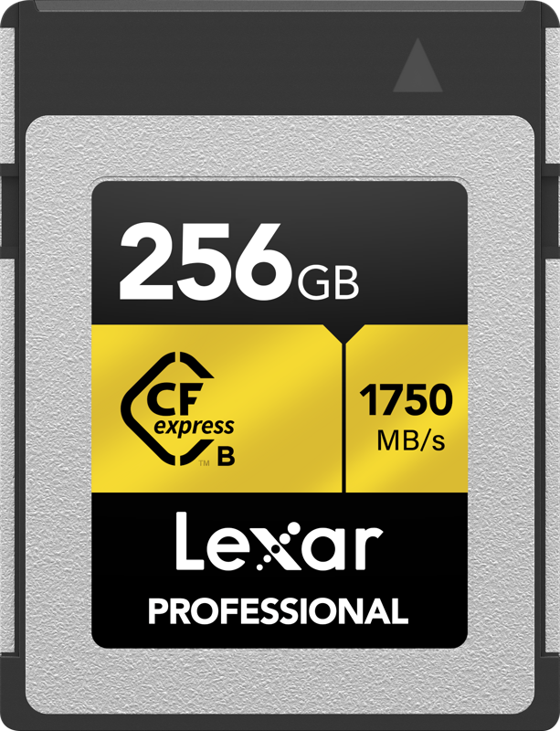 Lexar CFexpress Pro Gold R1750/W1500 256GB Memory Card
