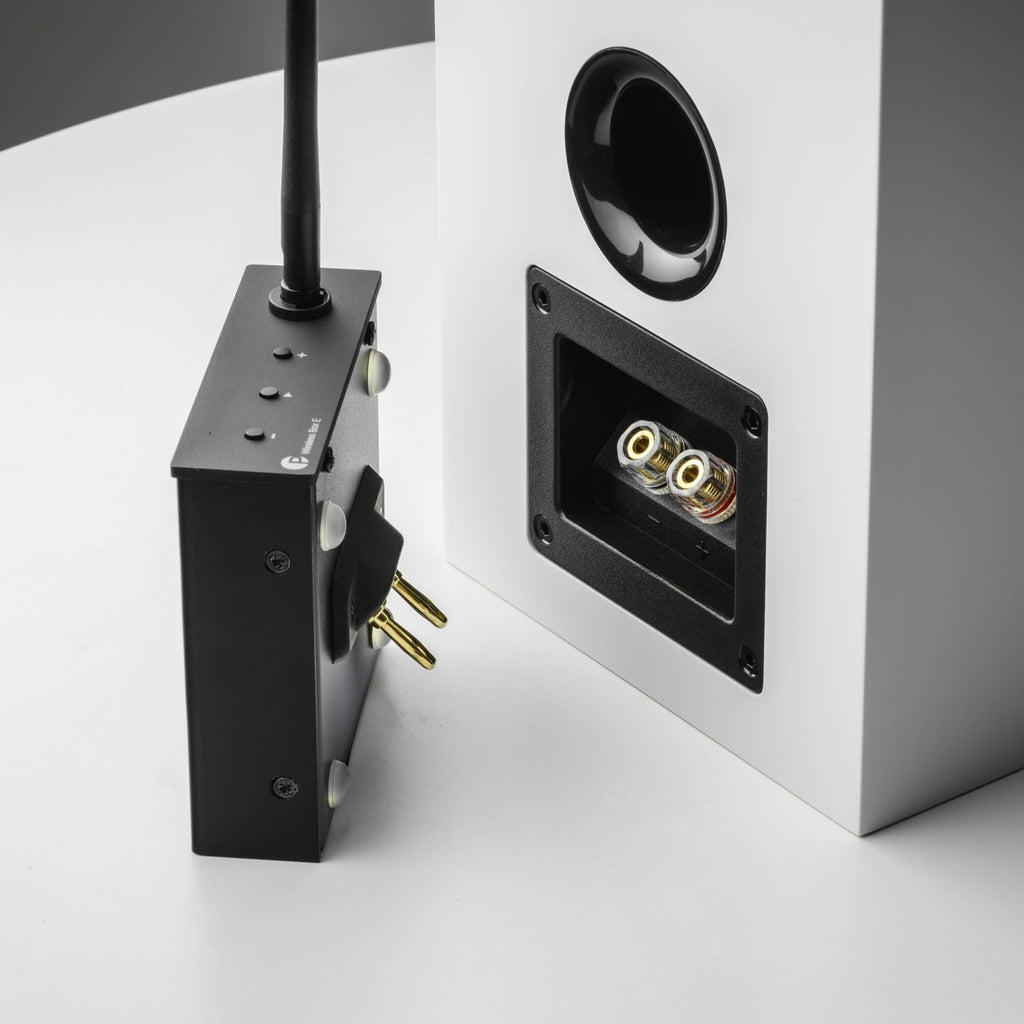 Pro-Ject Wireless Box E Bluetooth and Wi-Fi audio receiver connected to a home audio system.