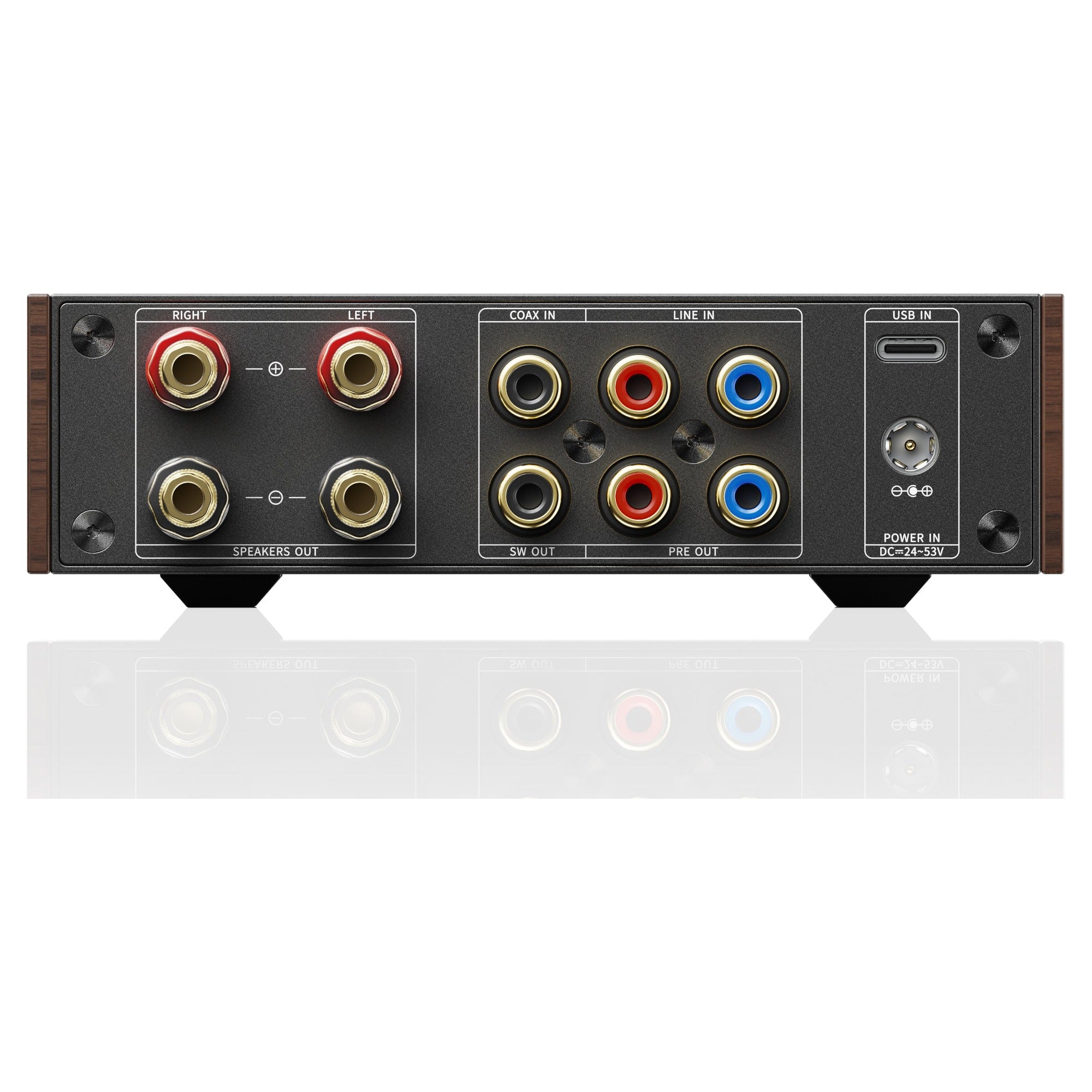 FiiO Level 1 rear panel inputs and outputs, walnut