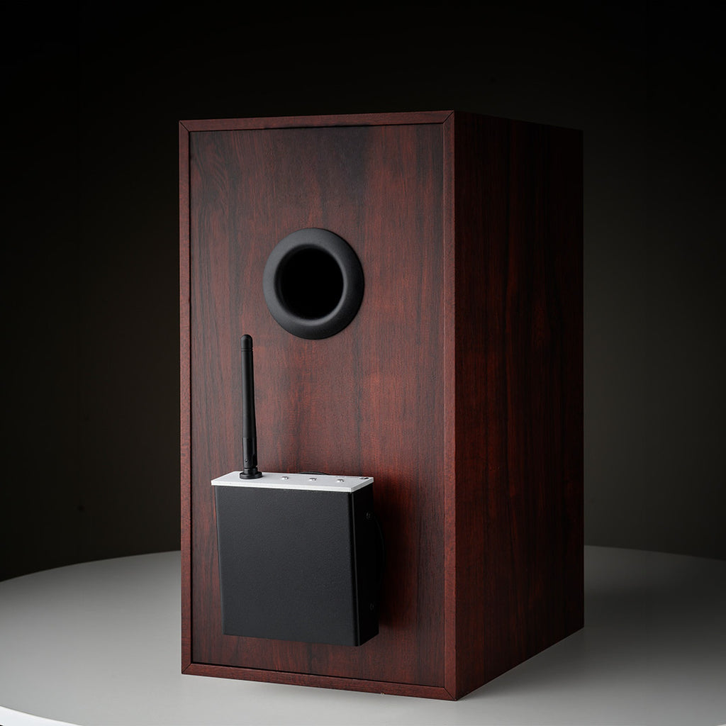 Pro-Ject Wireless Box E Bluetooth and Wi-Fi audio receiver connected to a home audio system.