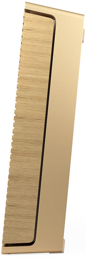 Bang & Olufsen Beosound Level (Gold Tone)