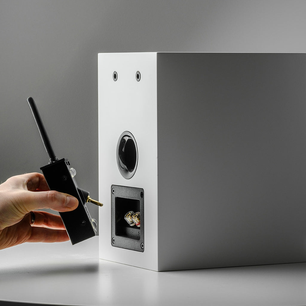 Pro-Ject Wireless Box E Bluetooth and Wi-Fi audio receiver connected to a home audio system.