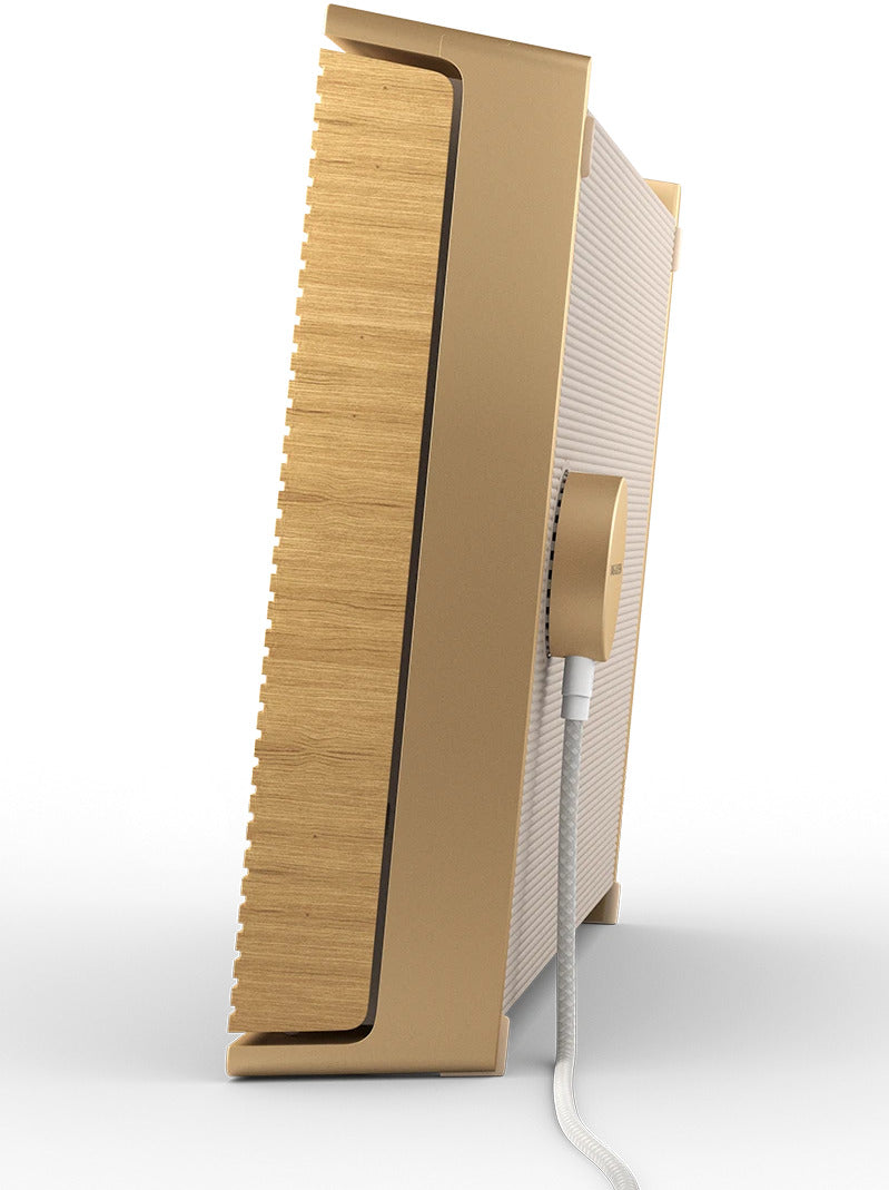 Bang & Olufsen Beosound Level (Gold Tone)