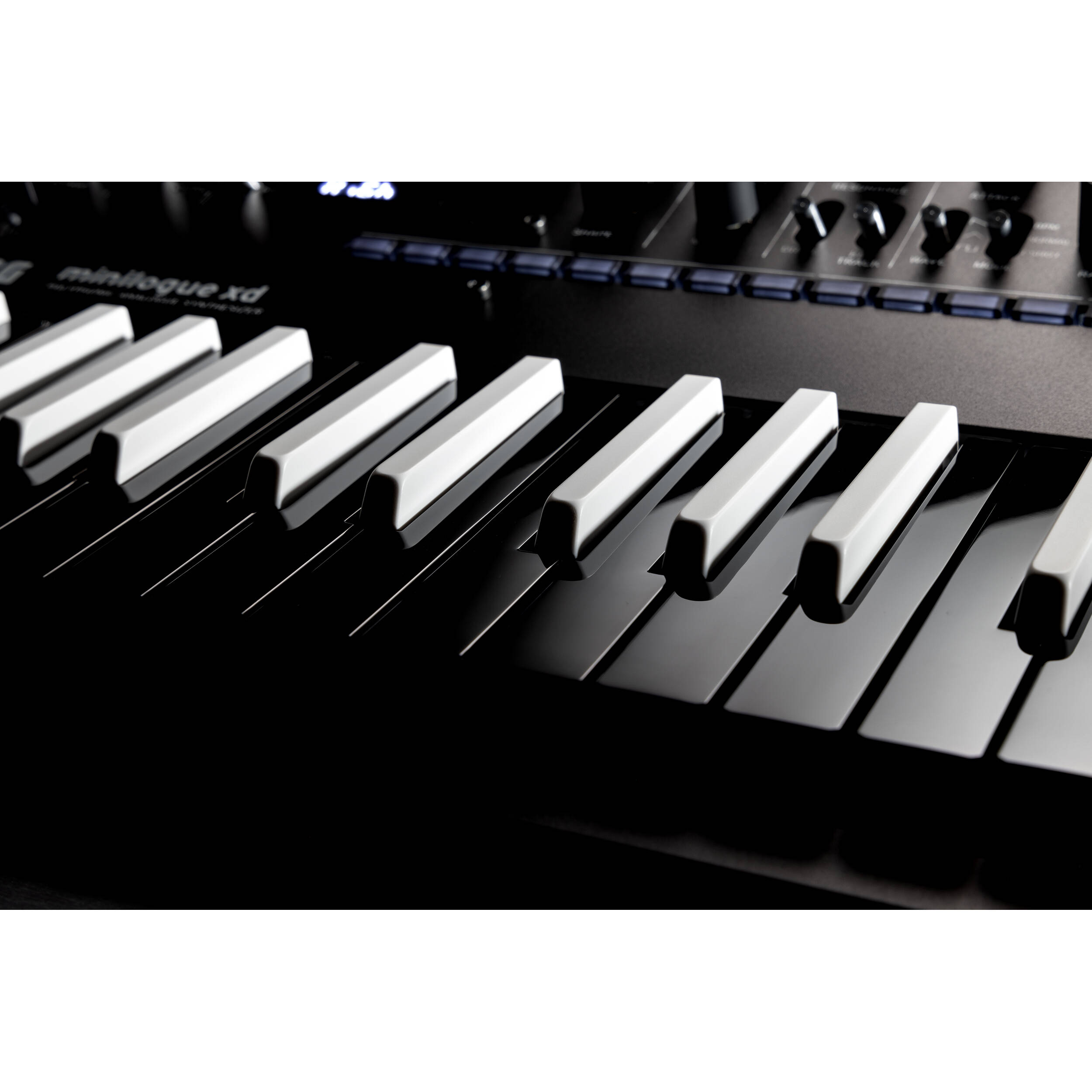 Korg Minilogue XD (Inverted)