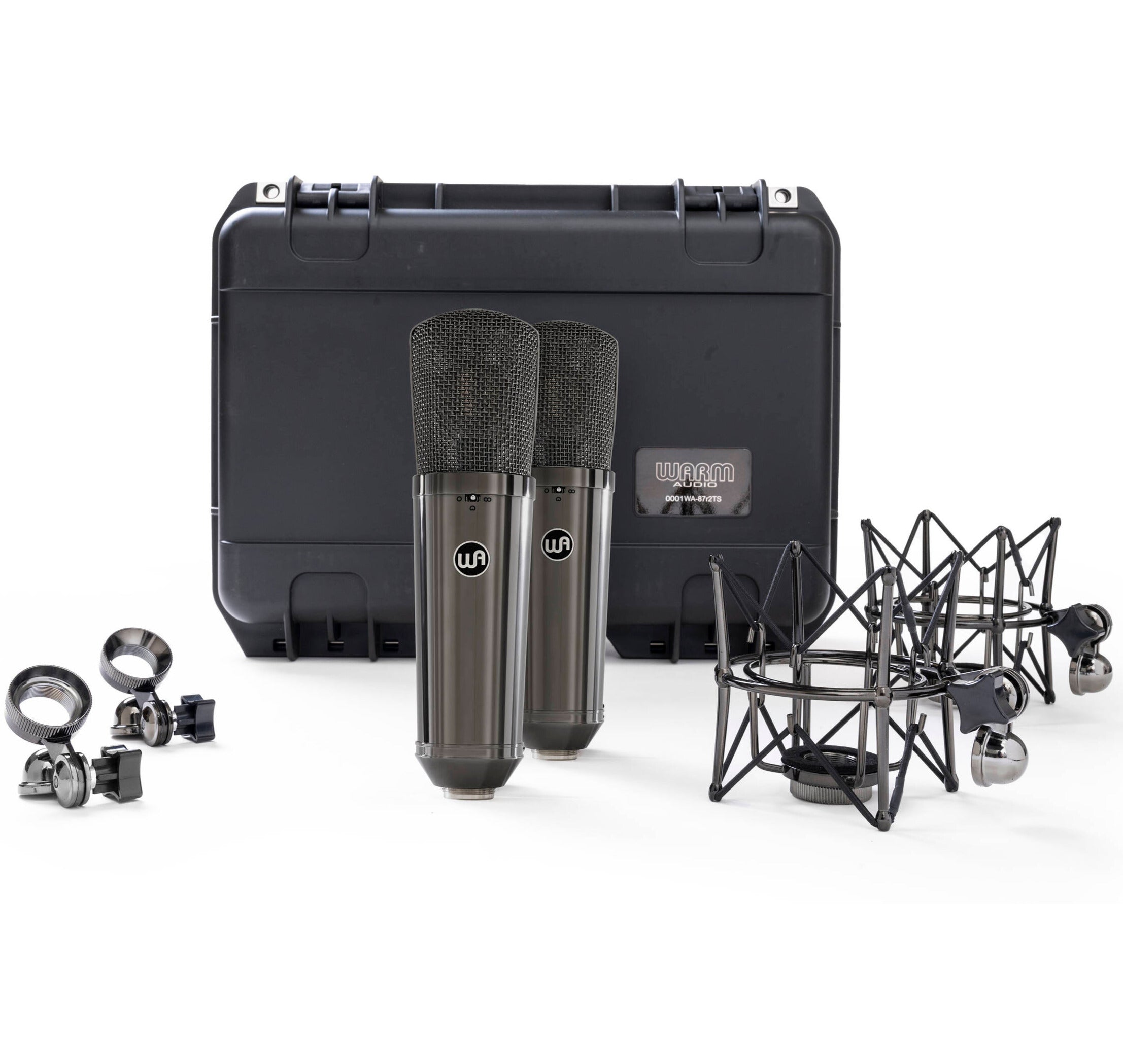 Warm Audio WA-87 R2 TS (Titanium, Stereo Pair)