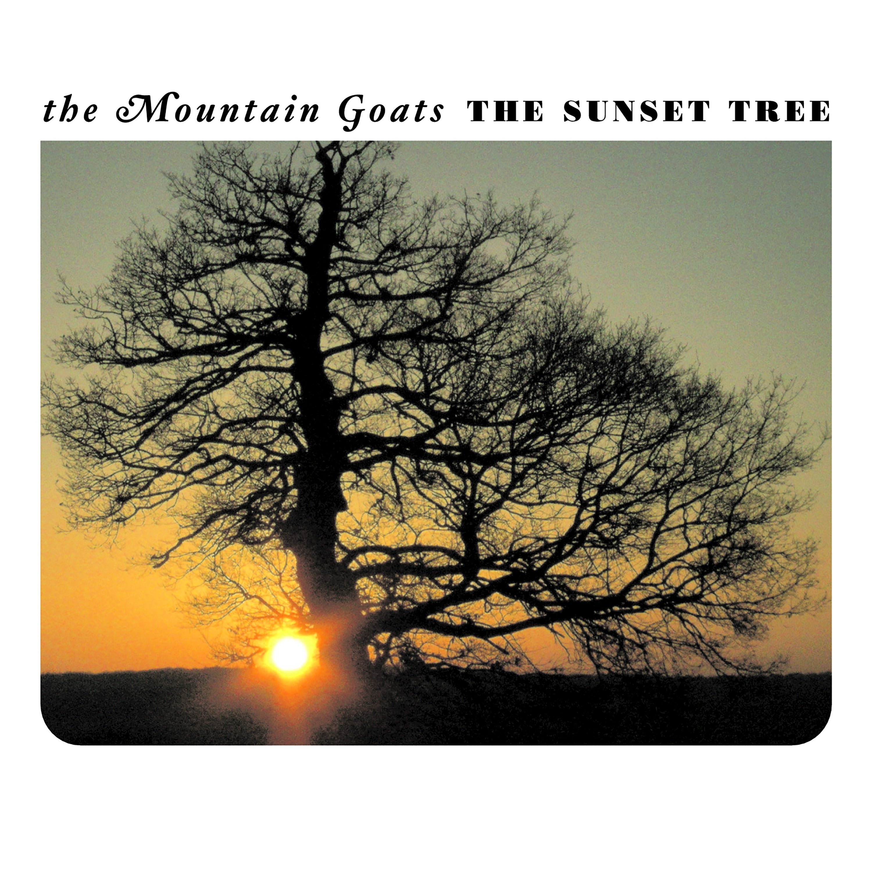 Limited apricot vinyl LP of The Mountain Goats' The Sunset Tree, featuring rock, indie, and pop music by 4AD.
