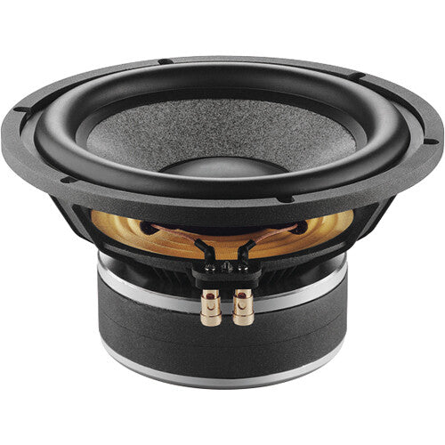 Focal Sub6