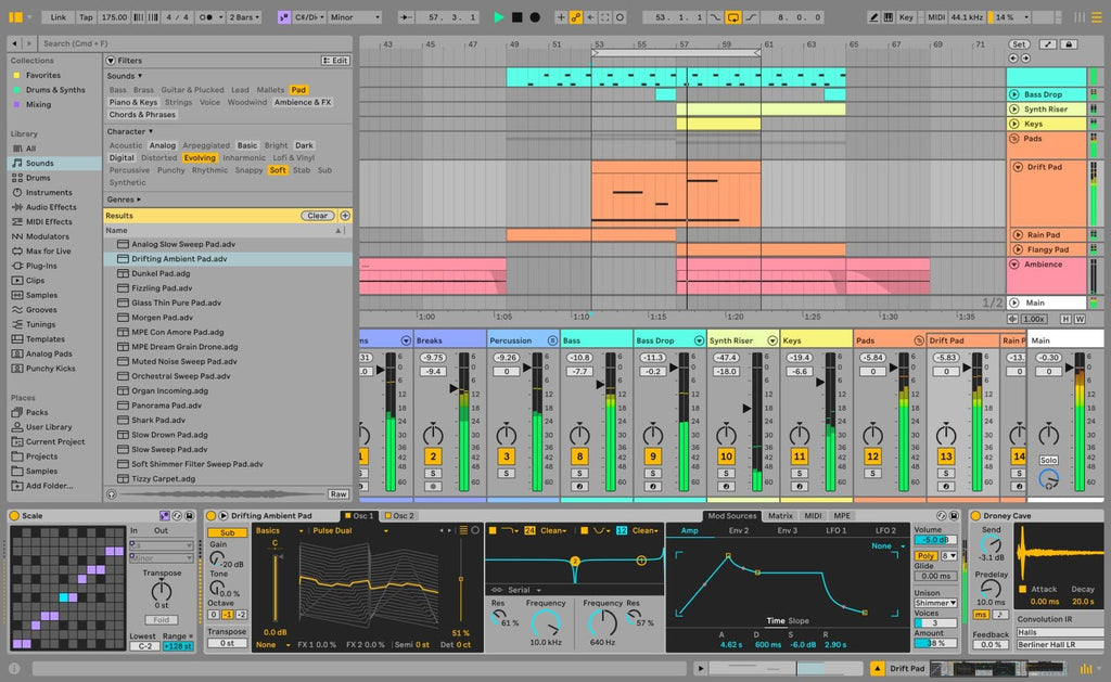 Ableton Live 12 Suite (Upgrade from Live Lite)