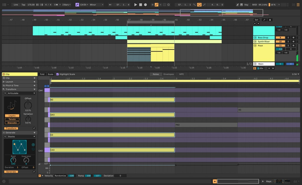 Ableton Live 12 Standard (Upgrade from Live Lite)