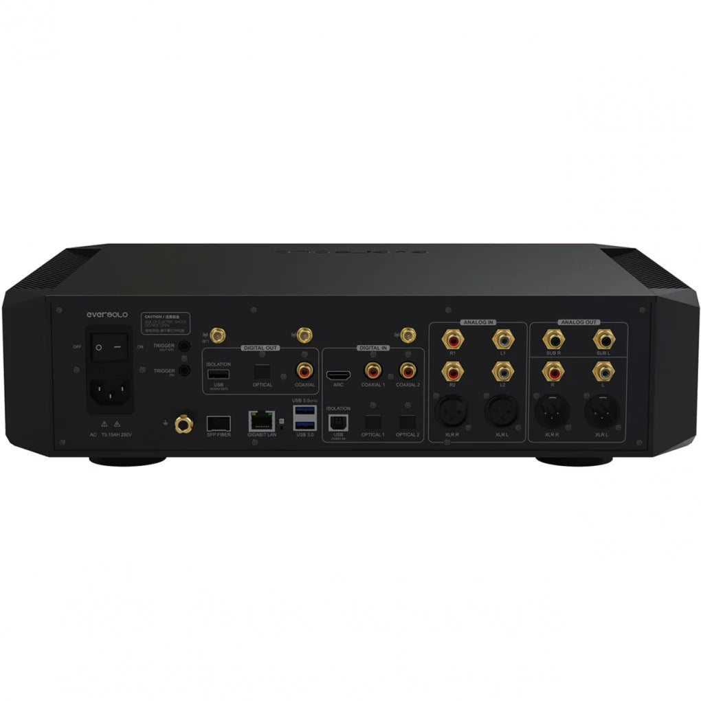 Eversolo EverSolo DMP-A10 music streamer rear view showing ports and connections on a sleek black device.