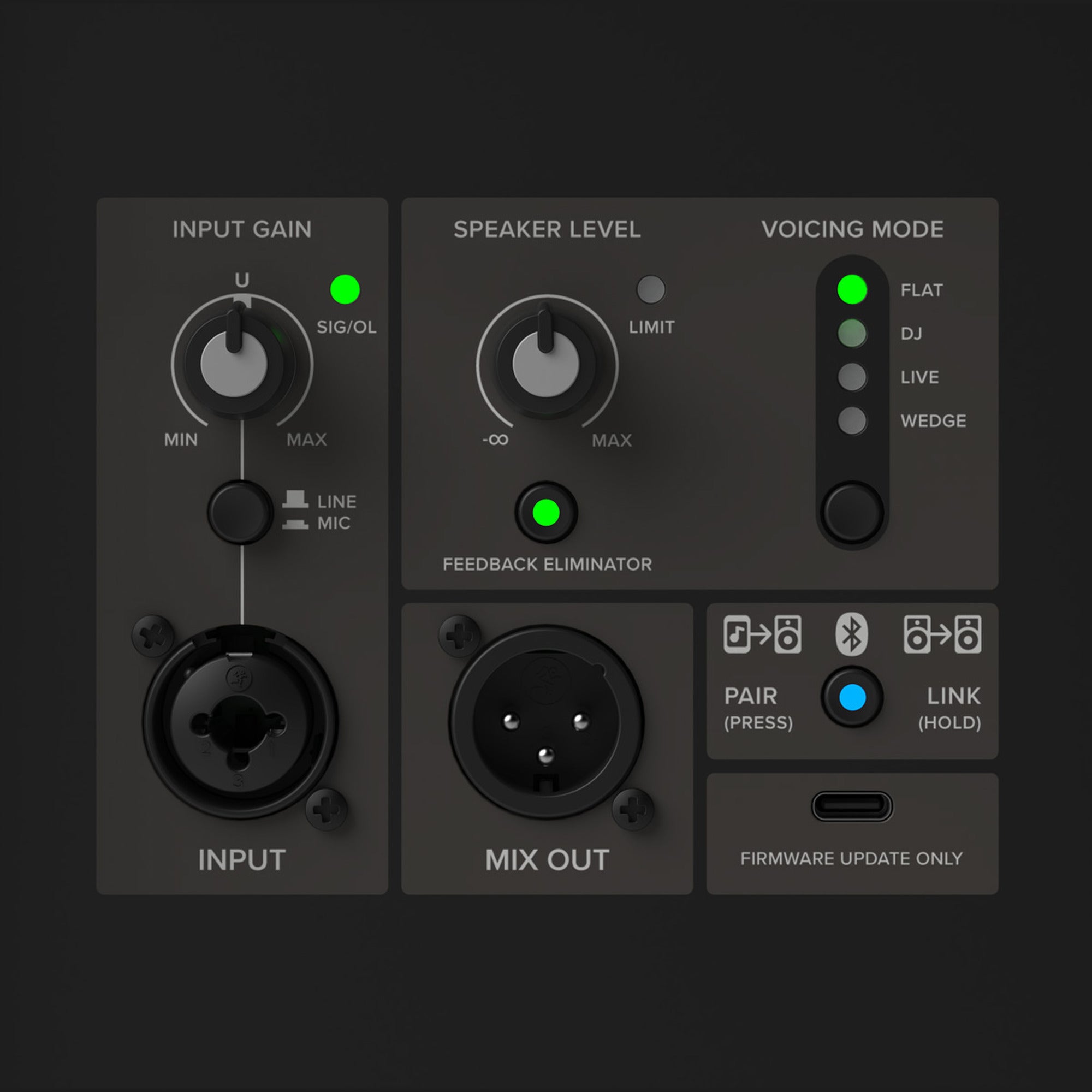 Mackie Thrashv2 rear panel with input gain, mic/line switch, XLR/TRS combo input, speaker level, Feedback Eliminator, four voicing modes, XLR mix out and Bluetooth pair/link