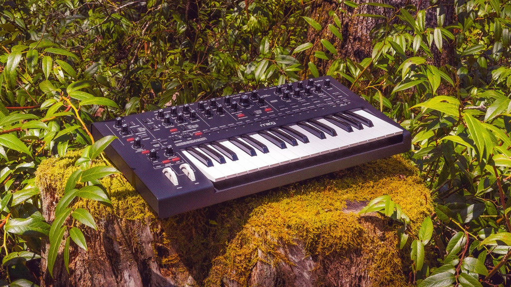 Moog Messenger synthesizer with knobs and controls, compact black Moog synthesizer for music production and sound design.