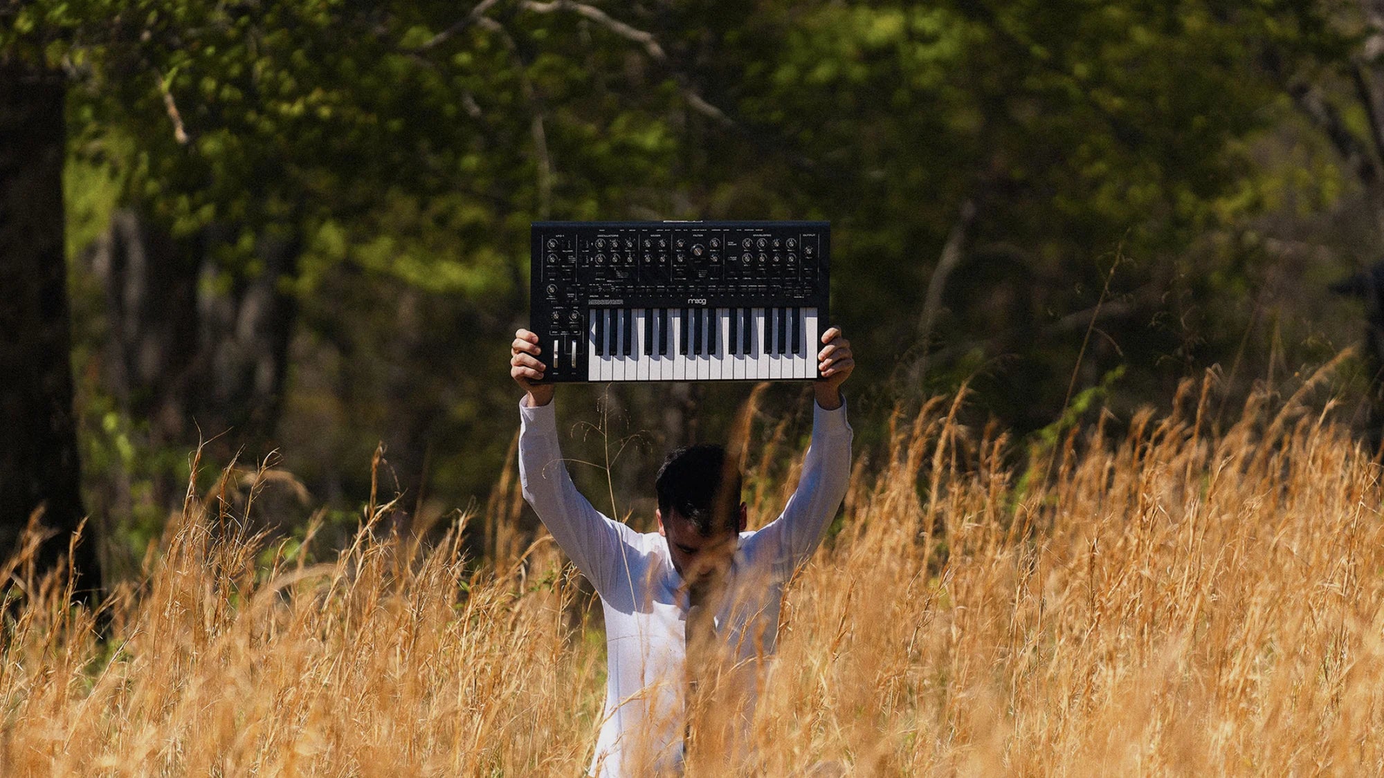 Moog Messenger synthesizer with knobs, switches, and input/output jacks, showcasing its compact design and vintage-inspired look.