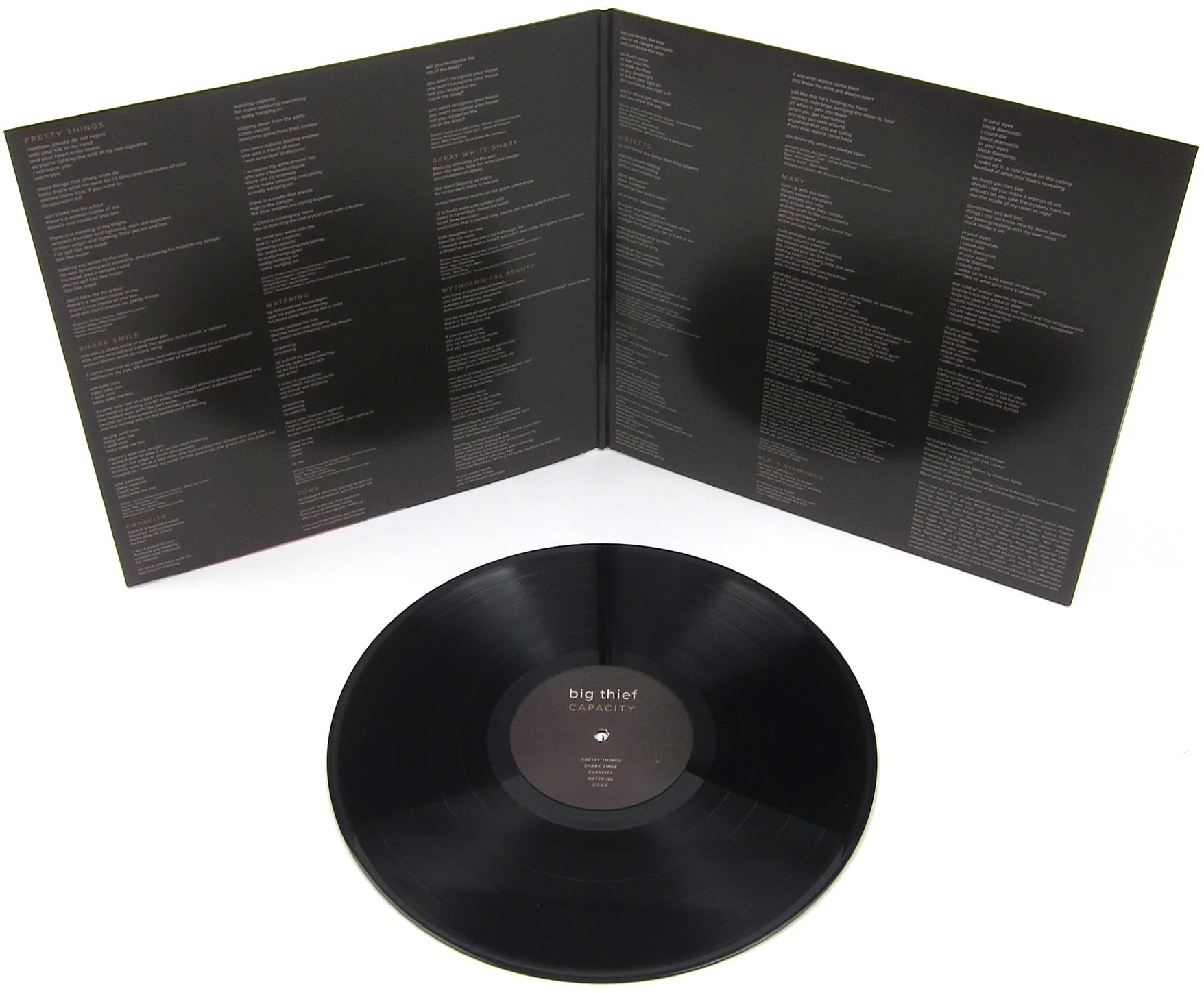 Big Thief - Capacity (Black) Vinyl LP