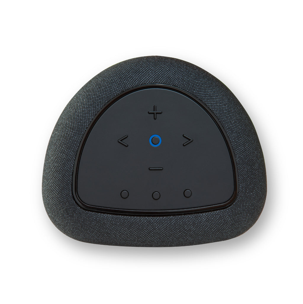 Bluesound Pulse Flex (2025) wireless speakers, back