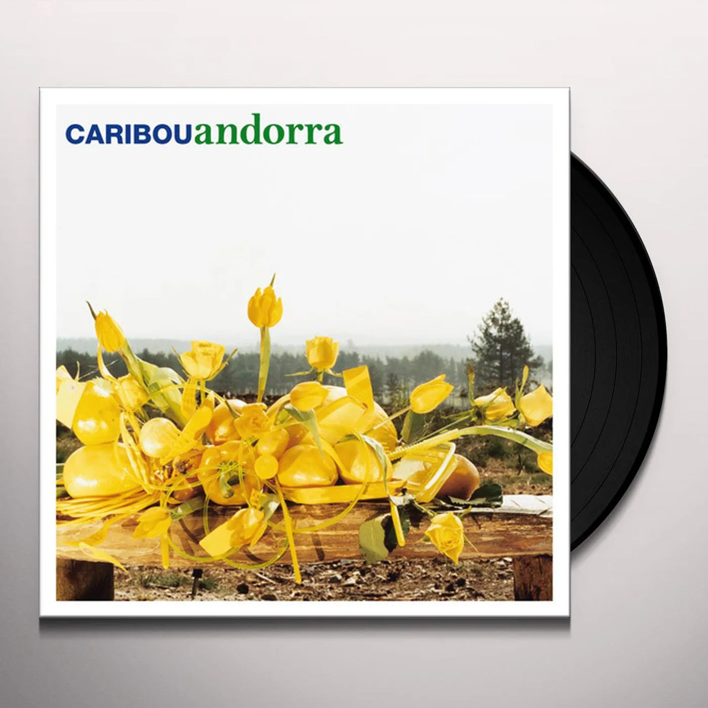 Caribou Andorra vinyl record, black vinyl LP
