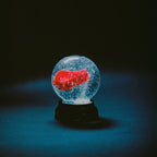 Darkside Nothing vinyl LP, front cover