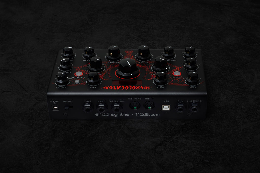 Erica Synths Echolocator effects pedal with multiple control knobs and input/output jacks for guitar or synth effects.