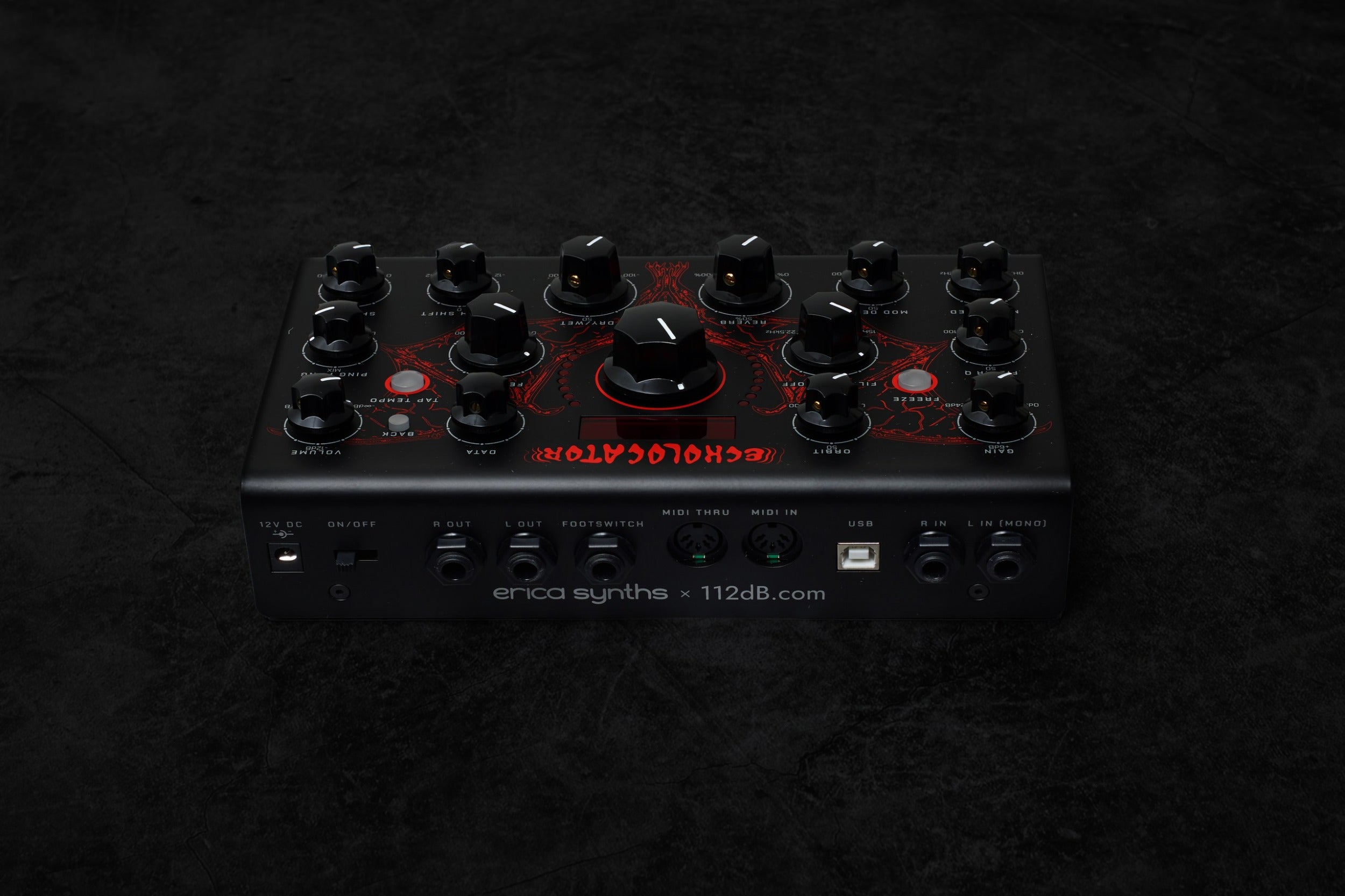 Erica Synths Echolocator effects pedal with multiple control knobs and input/output jacks for guitar or synth effects.