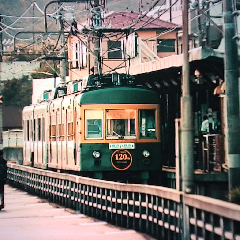 Film-look sample photo taken with the Escura SnapRoll