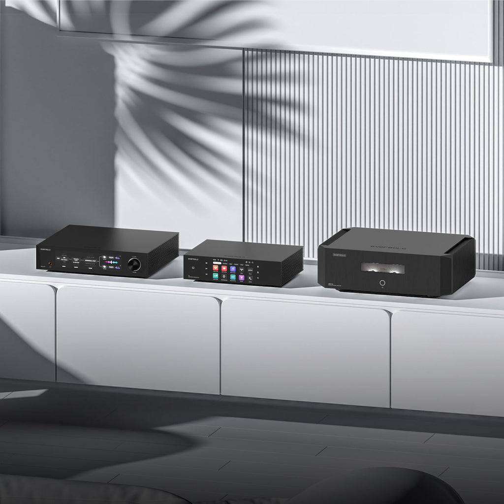 Eversolo T8 music streaming transport, rear panel detail