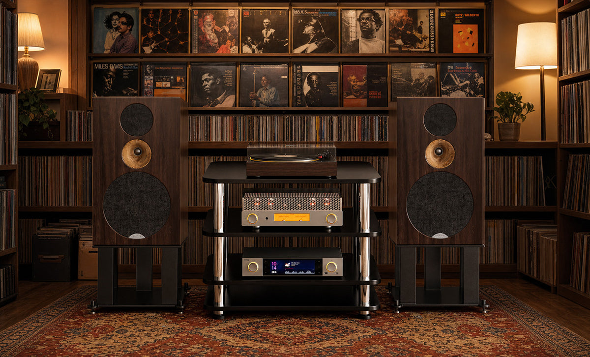 FiiO EA13 tube amplifier on a hi-fi rack in a record-lined listening room