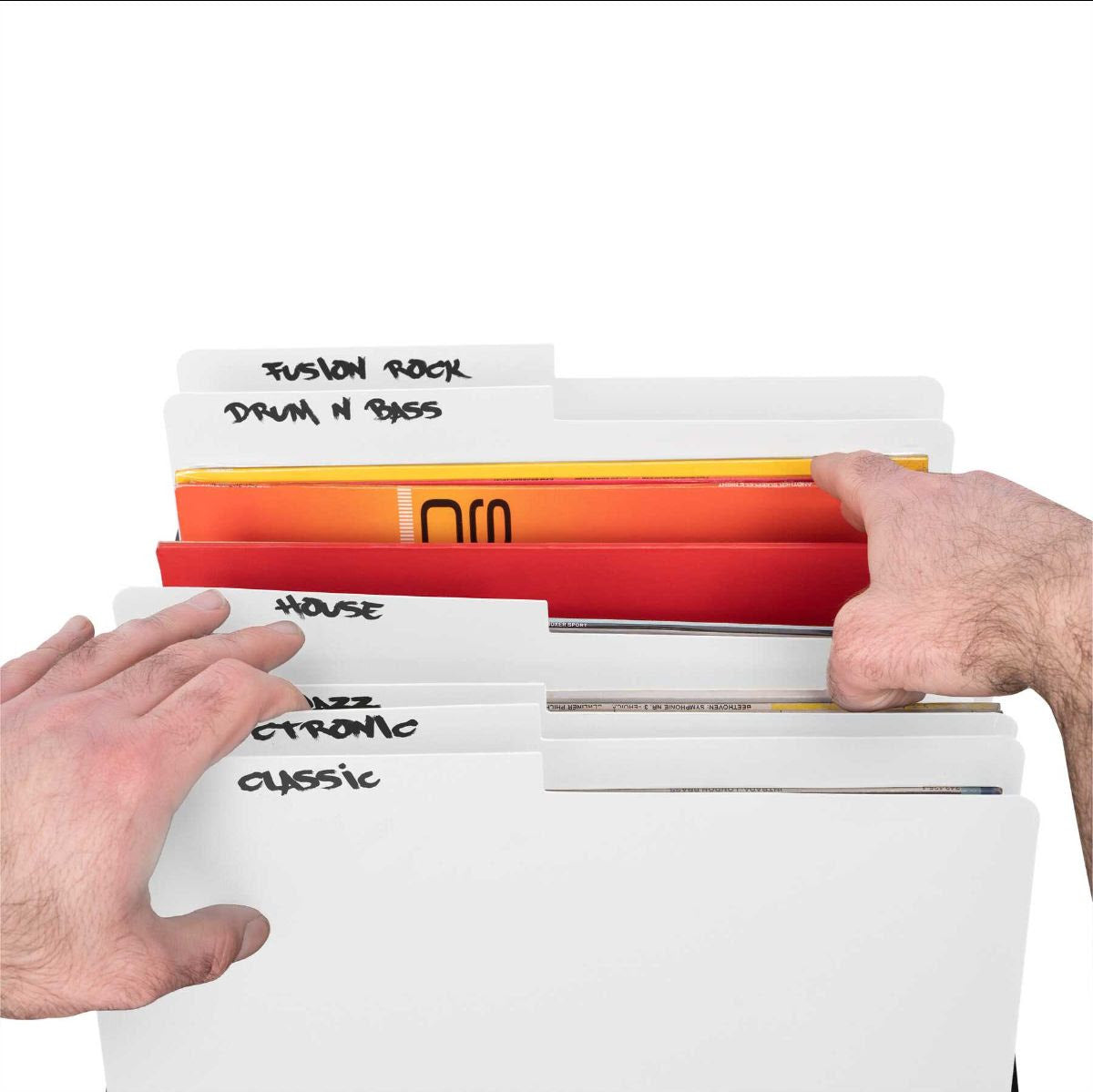 Glorious Vinyl LP Divider Set, detail view