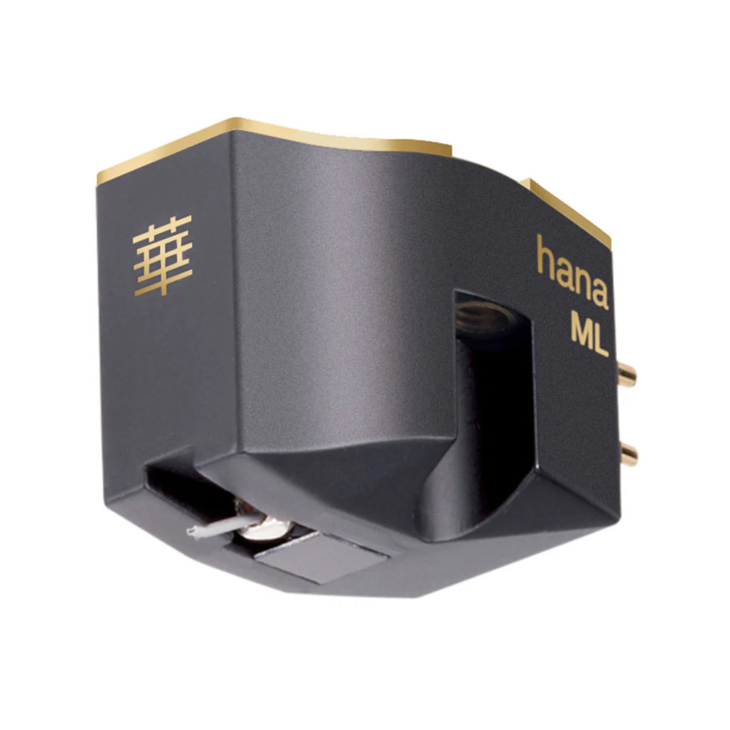 Hana ML adata