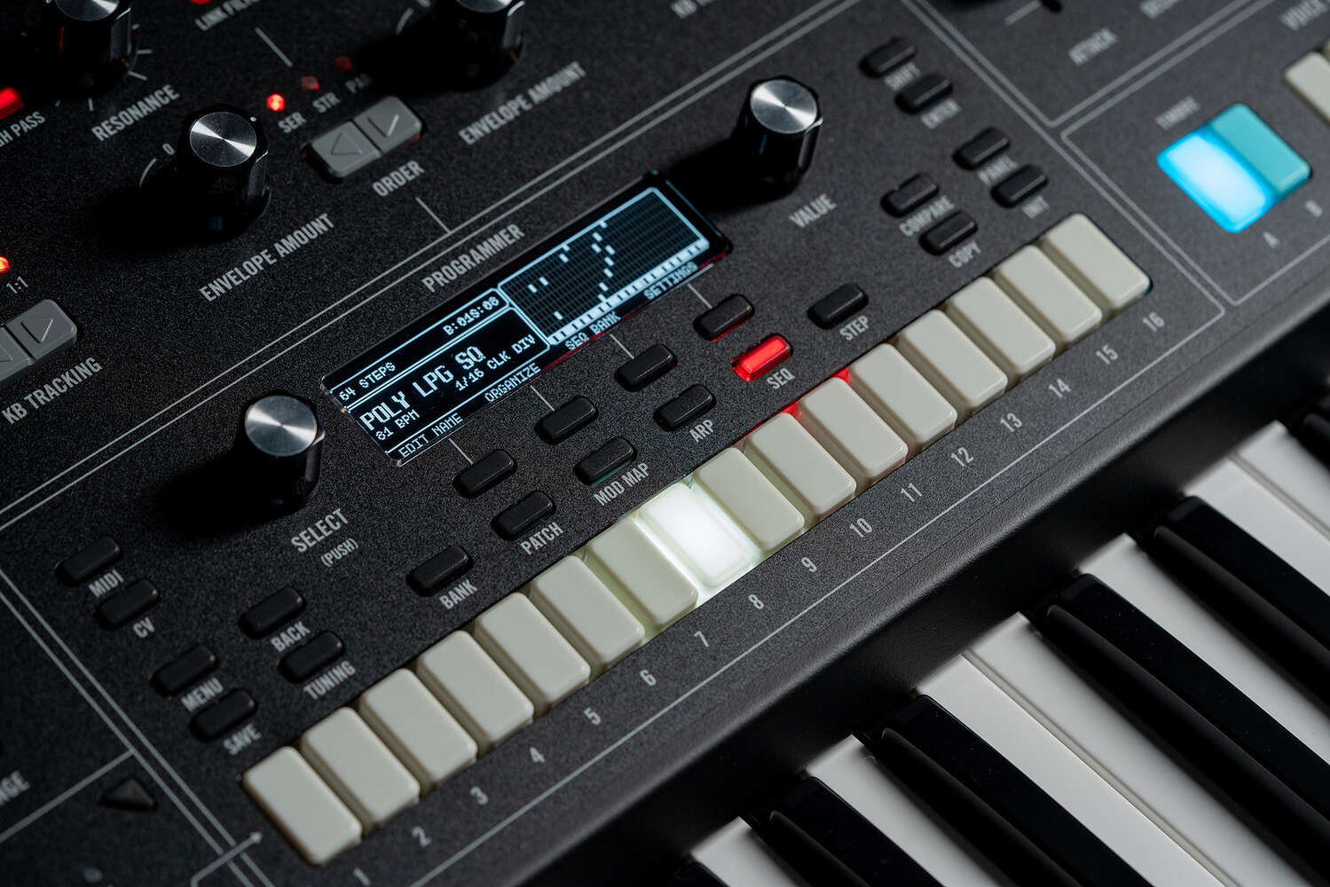 Moog Muse