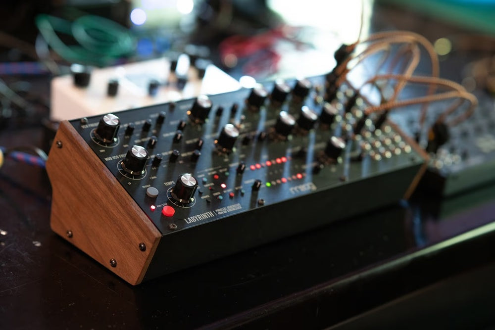 Moog Labyrinth