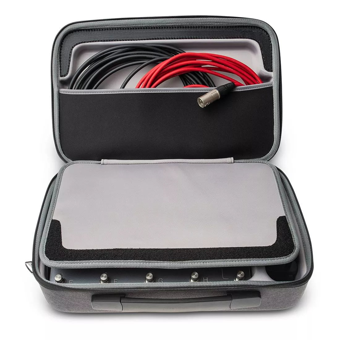 Neural DSP Quad Cortex Gigcase