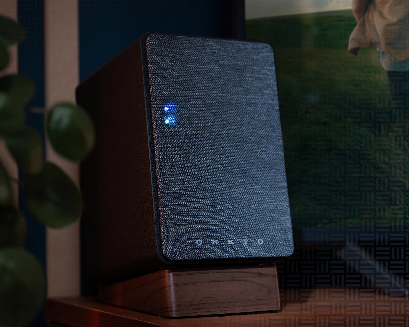 Onkyo GX-10DB (Pair)