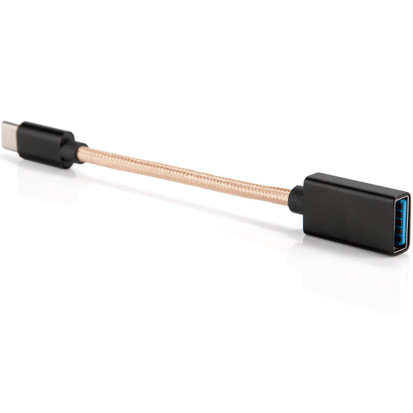 iFi Audio Type-C OTG Cable with USB connectors, showing flexible design and durable construction.