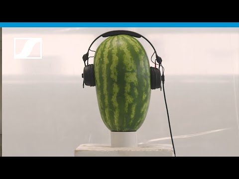 Sennheiser HD 25