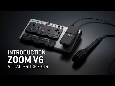 Zoom V6-SP