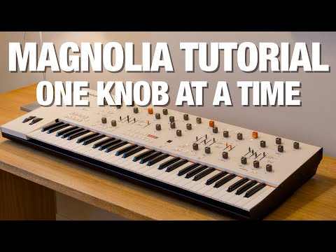 Frap Tools Magnolia