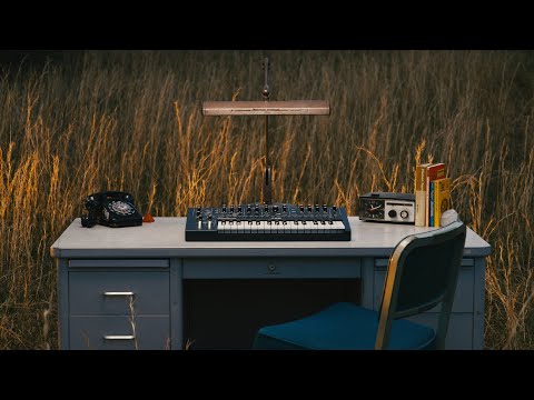 Moog Messenger
