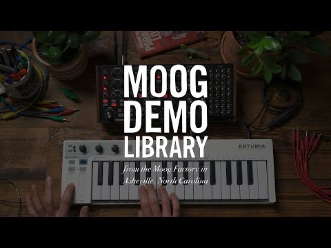 Moog Subharmonicon