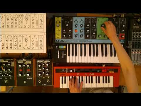 Moog Grandmother – Soundium