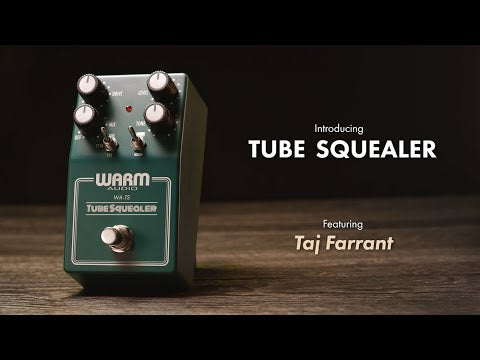 Warm Audio Tube Squealer (WA-TS)