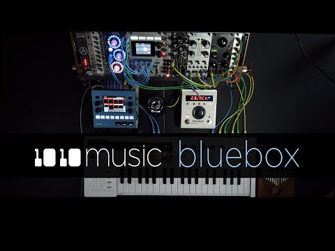 1010music Bluebox
