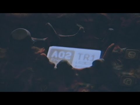 Įkelti vaizdo įrašą: 