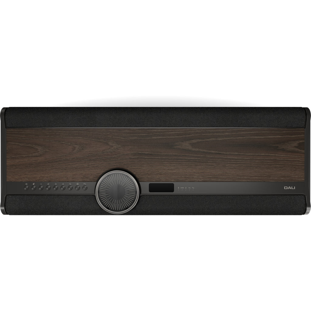 Dali Vega front panel with wood veneer, volume wheel and OLED display