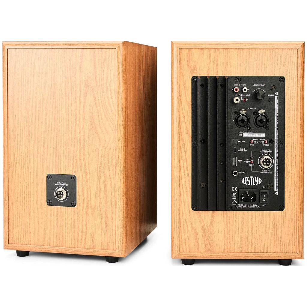 Vestlyd M6C Active in Oak — rear view with amplifier and connection panel