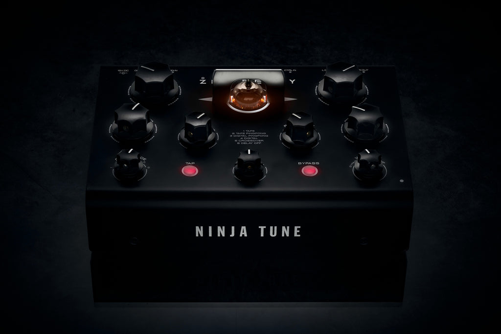 Erica Synths Zen Delay effects pedal with multiple knobs and input/output jacks, designed for guitar and audio processing.