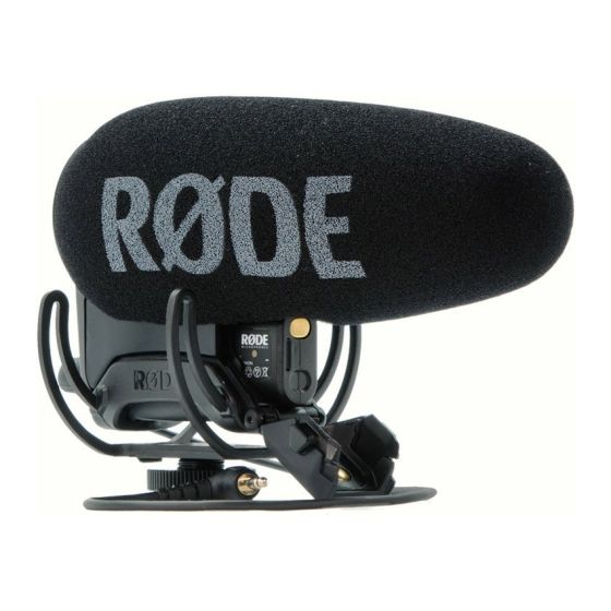 rode videomic pro kaina