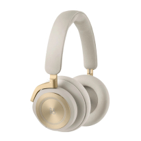 Bang & Olufsen Beoplay HX (Gold Tone)