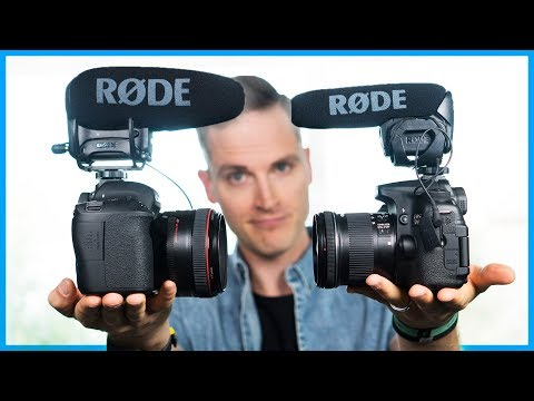 RODE popular - VideoMic Pro+ Premium On-Camera Microphone